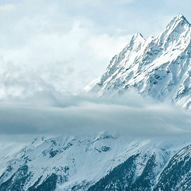 �����ϸ硤(�й�)���ֲ��ٷ���վ